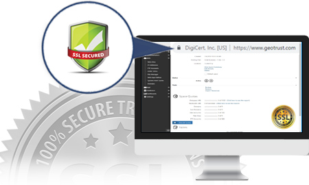 SSL Browser Features